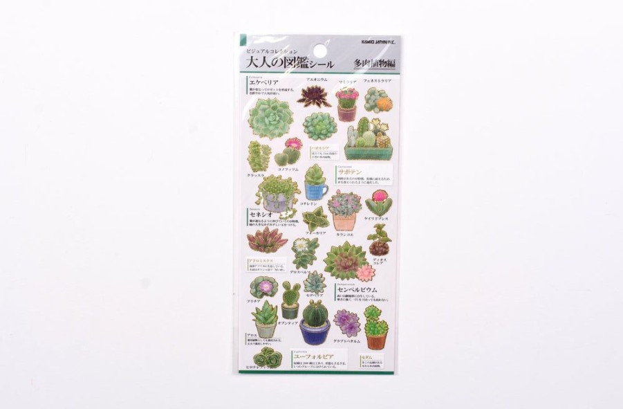 Stickers * | Low Price Illustrated Picture Book Stickers Succulent